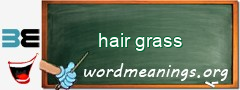 WordMeaning blackboard for hair grass